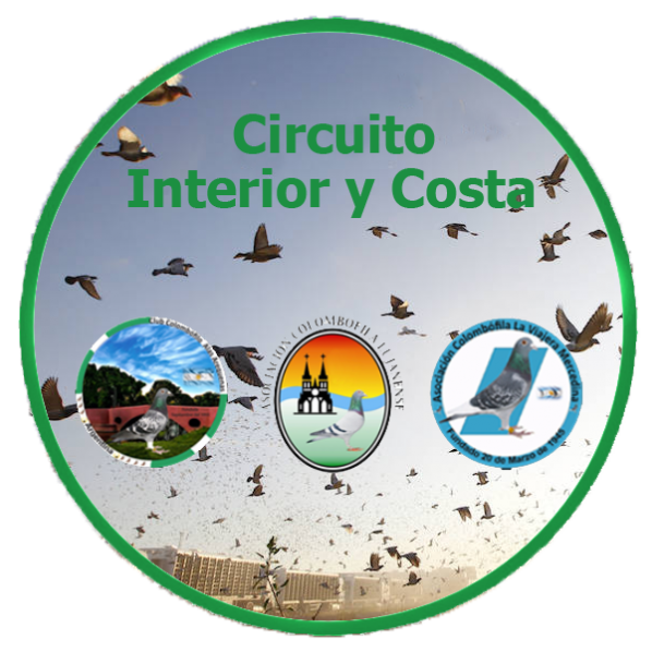 Circuito Interior y Costa - Region 7
