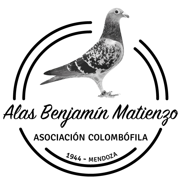 Alas BenjamÃ­n Matienzo
