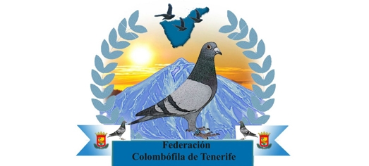 Federacion Insular de Tenerife