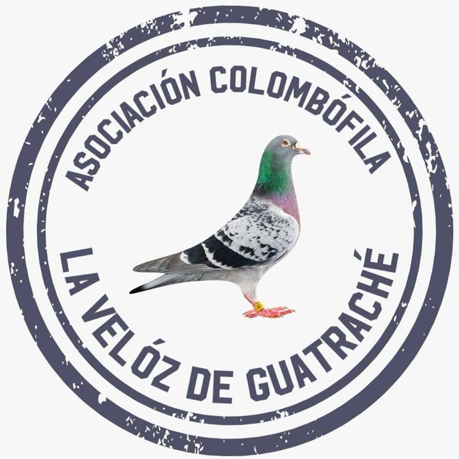 La Veloz de Guatrache