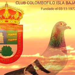 CLUB COLOMBOFILO ISLA BAJA
