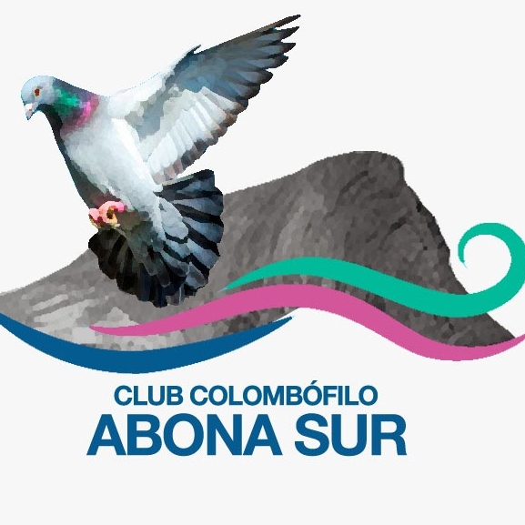 CLUB COLOMBOFILO ABONA SUR