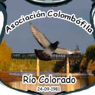 ASOCIACIÓN COLOMBÓFILA RÍO COLORADO Río Colorado