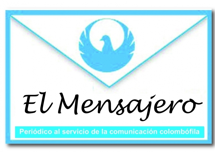 Última Edición