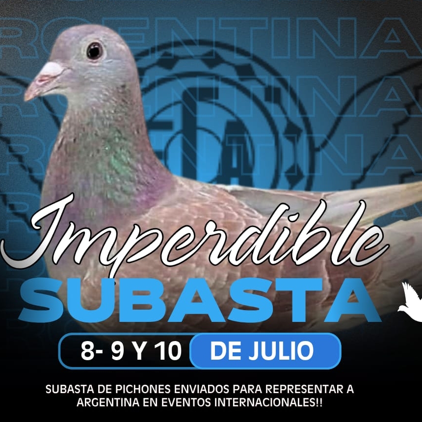!IMPERDIBLE SUBASTA 2da TANDA!