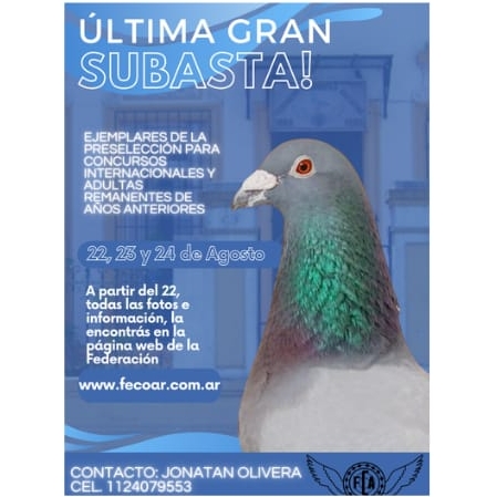 SUBASTA FINAL!!!!
